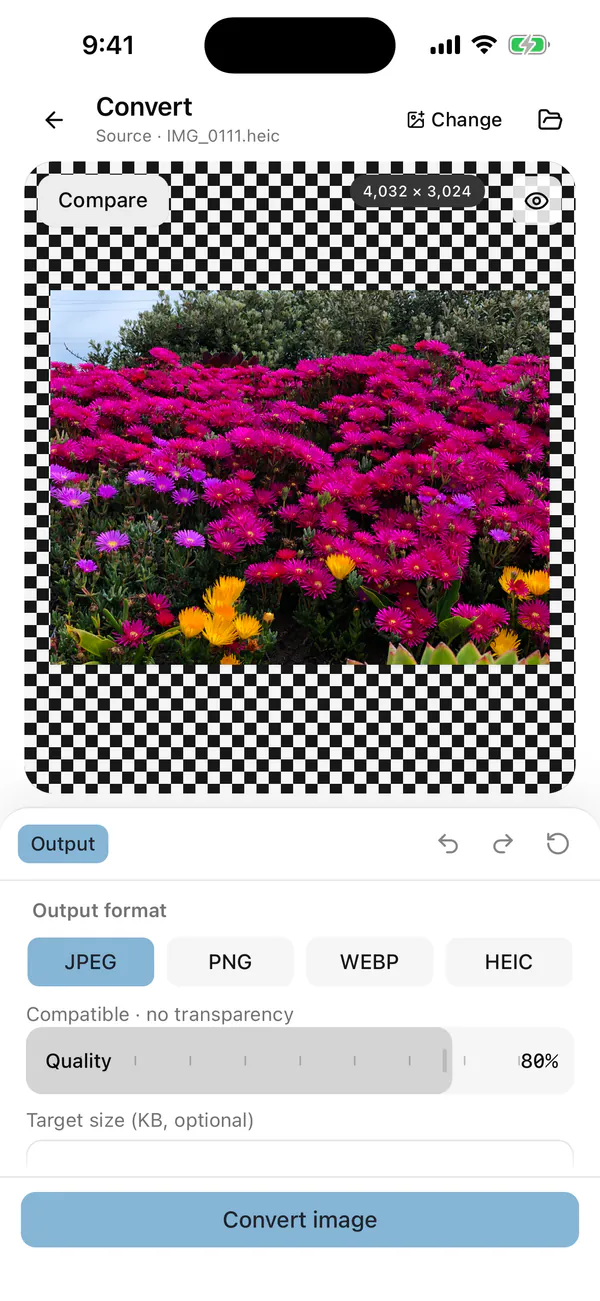 Framli Convert screen in the iPhone Simulator with the sample photo IMG_0111.heic loaded, JPEG already selected under Output format next to PNG, WEBP and HEIC, Quality at 80% and the Convert image button